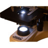 Цифровой тринокулярный микроскоп LEVENHUK MED D10T LCD, арт. 73987